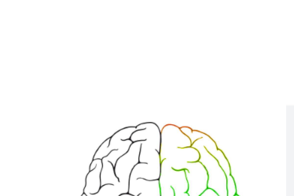 عکس چپ مغزی یا راست مغز؟