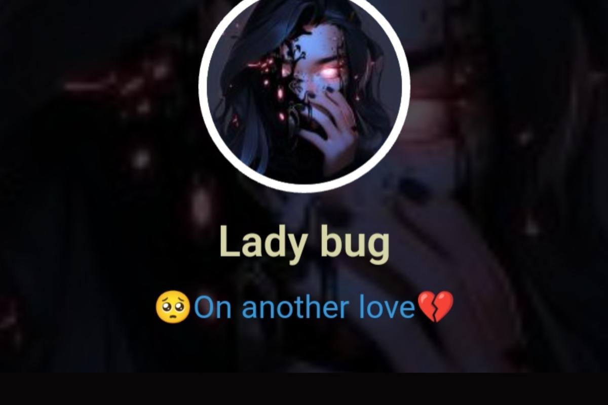 عکس مصاحبه با کاربر Lady bug
