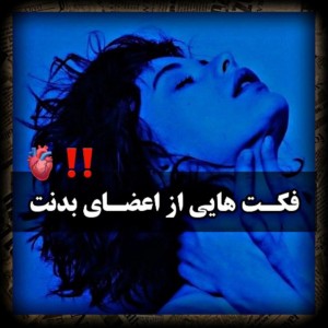 عکس فکت هایی از اعضا بدن