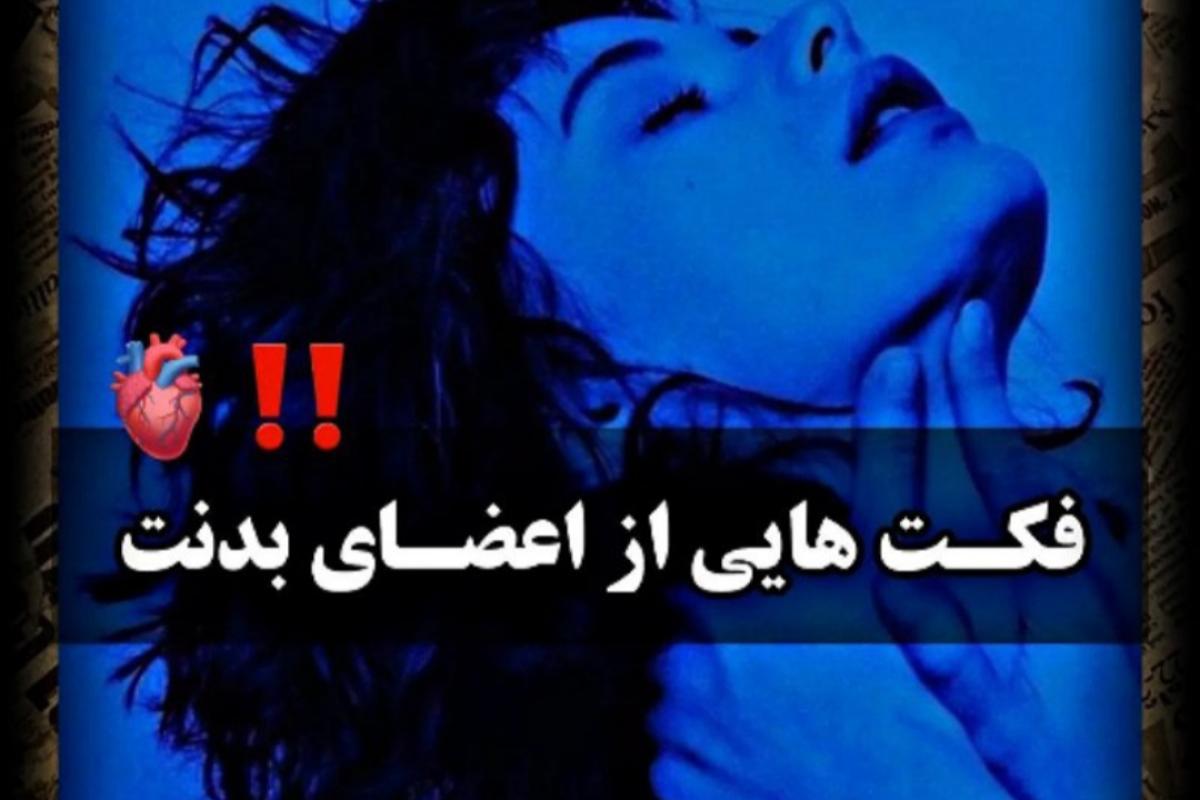 عکس فکت هایی از اعضا بدن