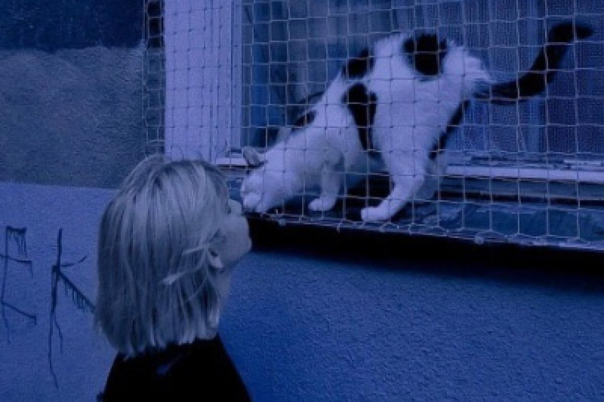 عکس 10 ایده ساده برای این‌که حال‌تان بهتر شود