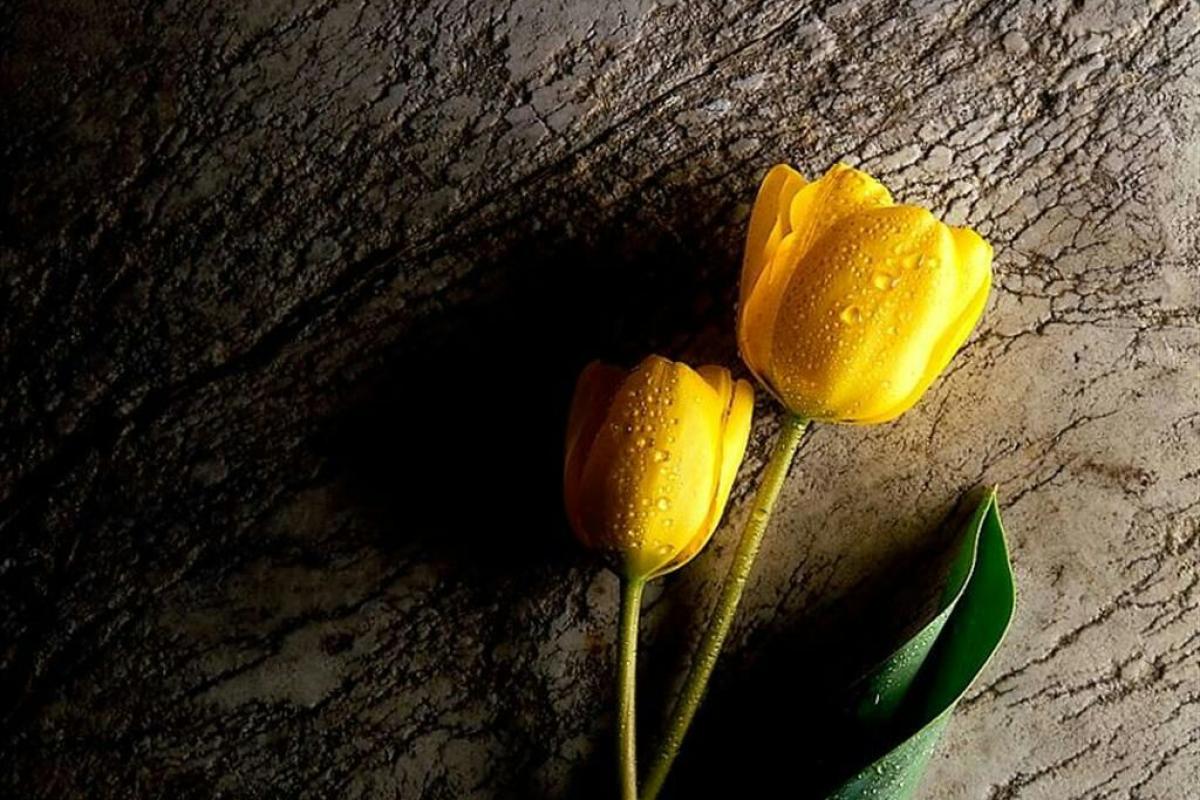 عکس راز ساعت ۱۱:۳۴