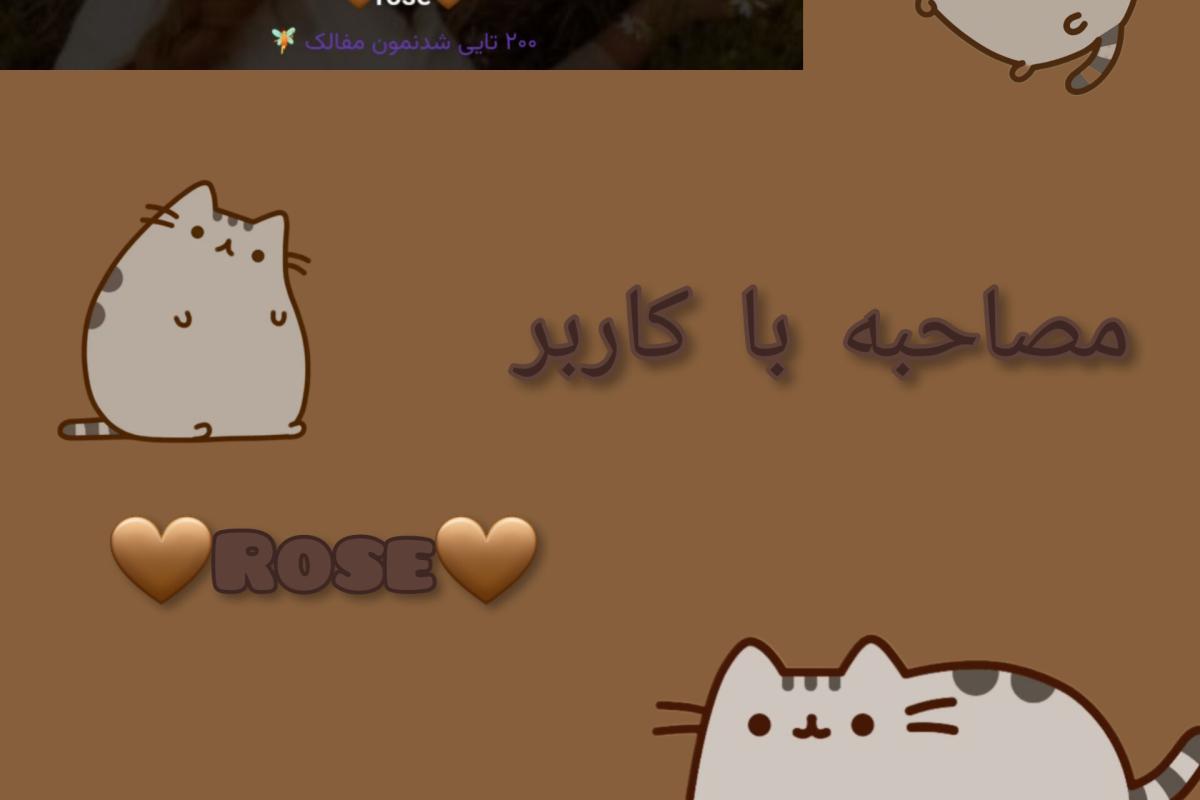 عکس مصاحبه با کاربر rose