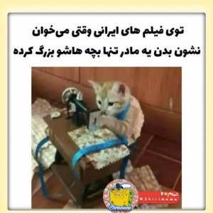 عکس میم 1