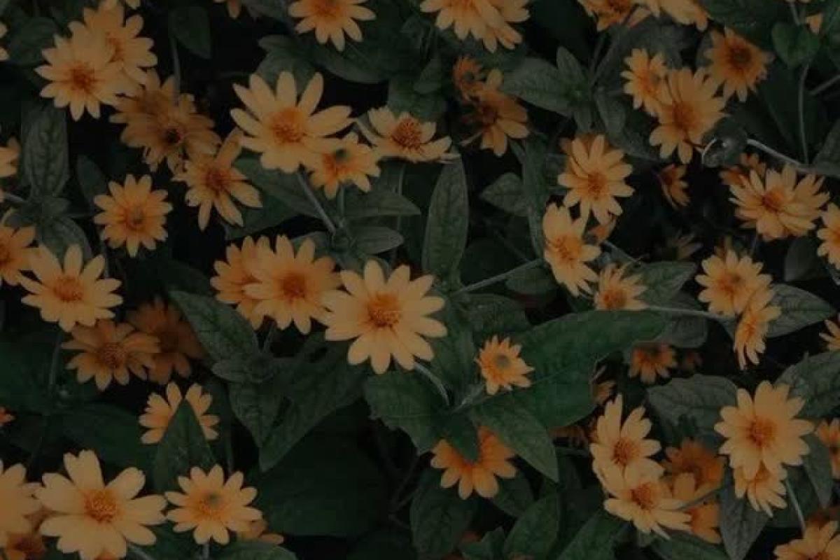 عکس تایپها به عنوان خدایان یونانی✌