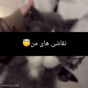 کاور