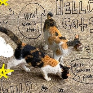 عکس شخصیت درونی شما چه شکلیه؟