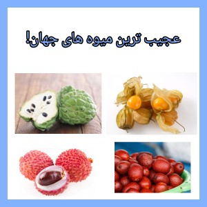 تست عجیب ترین میوه های جهان!