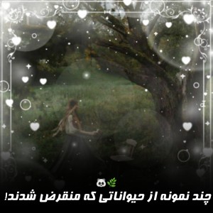 عکس چند نمونه از حیوانات منقرض شده