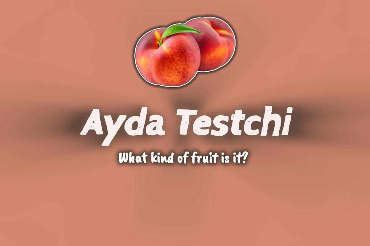 عکس هلو چه نوع میوه ای است؟