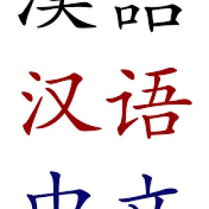 چقدر چینی بلدی؟