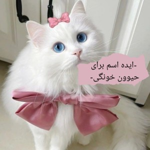 عکس -ایده اسم برای حیوون خونگی-