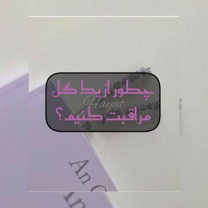 کاور