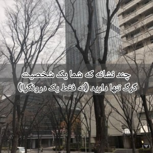 تست چند نشانه که شما یک شخصیت گرگ تنها دارید.