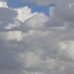 کاور