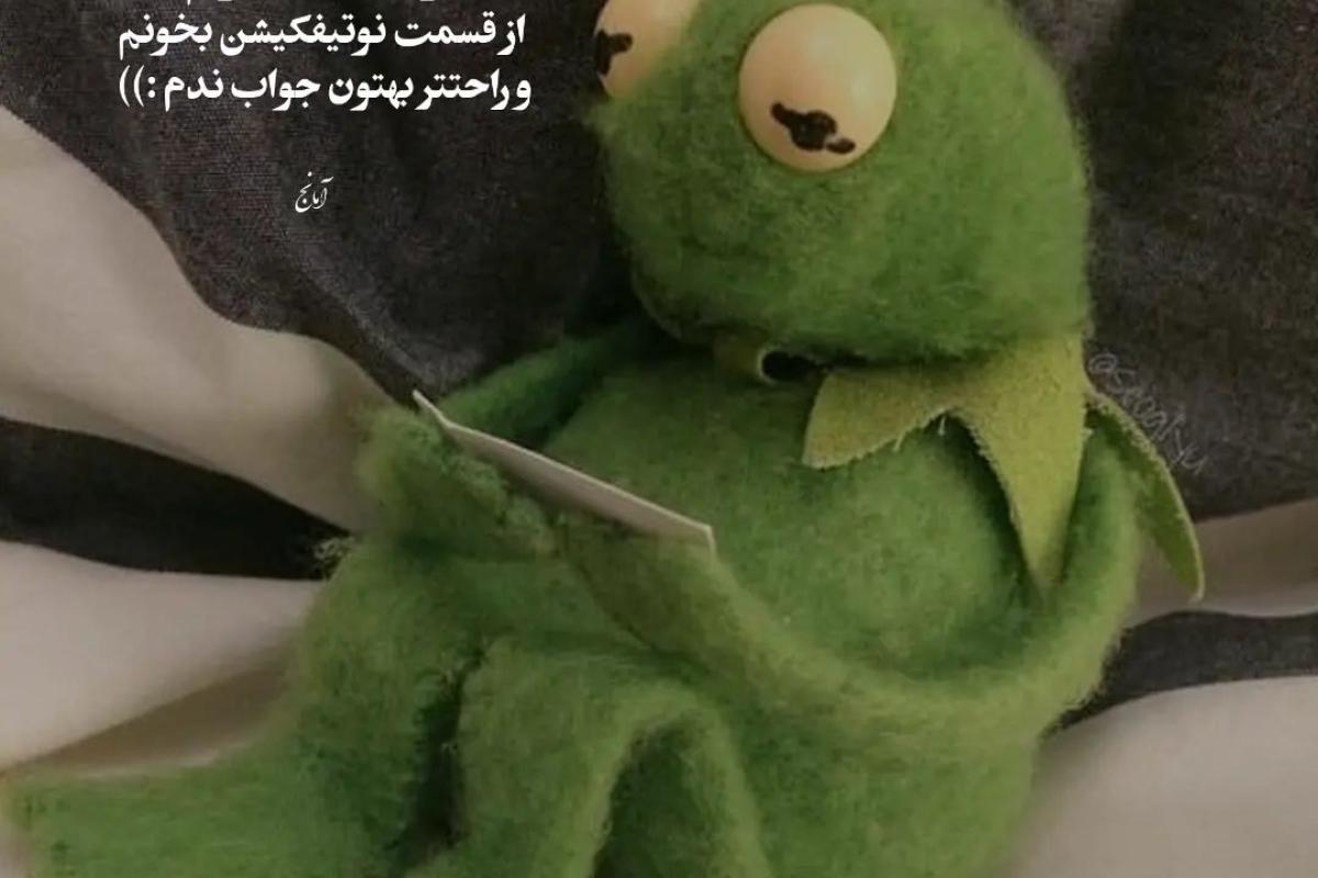 عکس طنز قورباغه