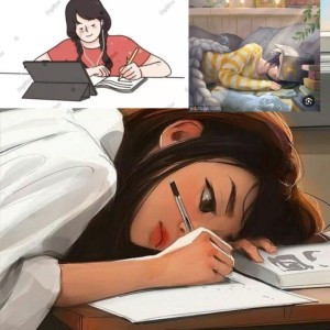 اسم میوه ها بر اساس لول انگلیسی