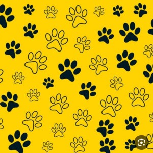 عکس انواع سگ ها(برای چیز های مختلف)