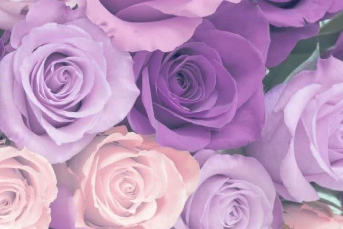 عکس چند تا سریال کره‌ای²🌷