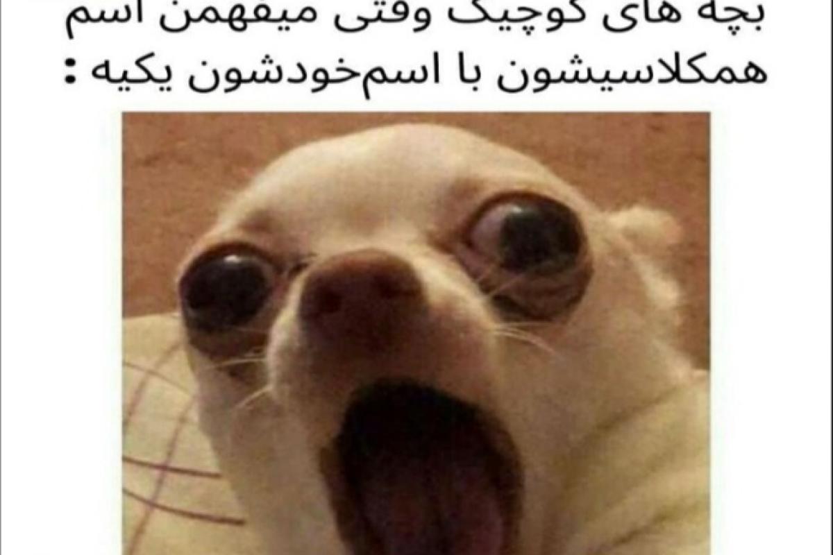 حققق