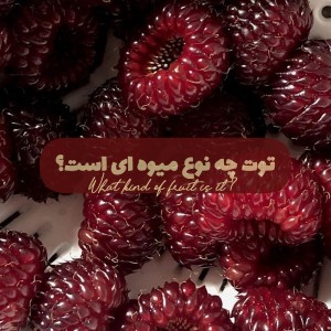 عکس توت چه نوع میوه ای است؟