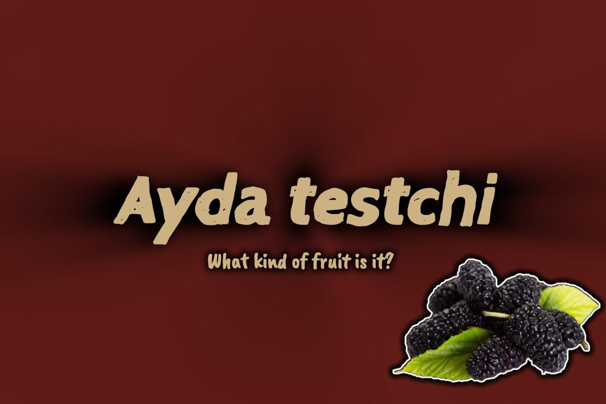 عکس توت چه نوع میوه ای است؟