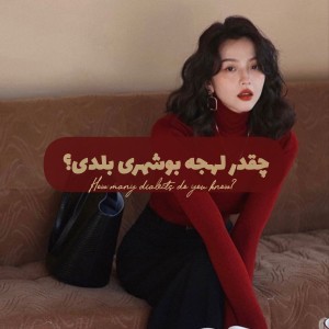 عکس چقدر لهجه بوشهری بلدی؟