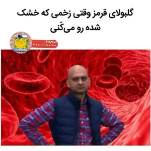 تست میم 4