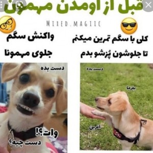 عکس میم سم و سرطانننن🗿😂p2