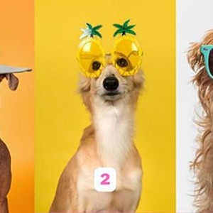 تست شخصیت شناسی