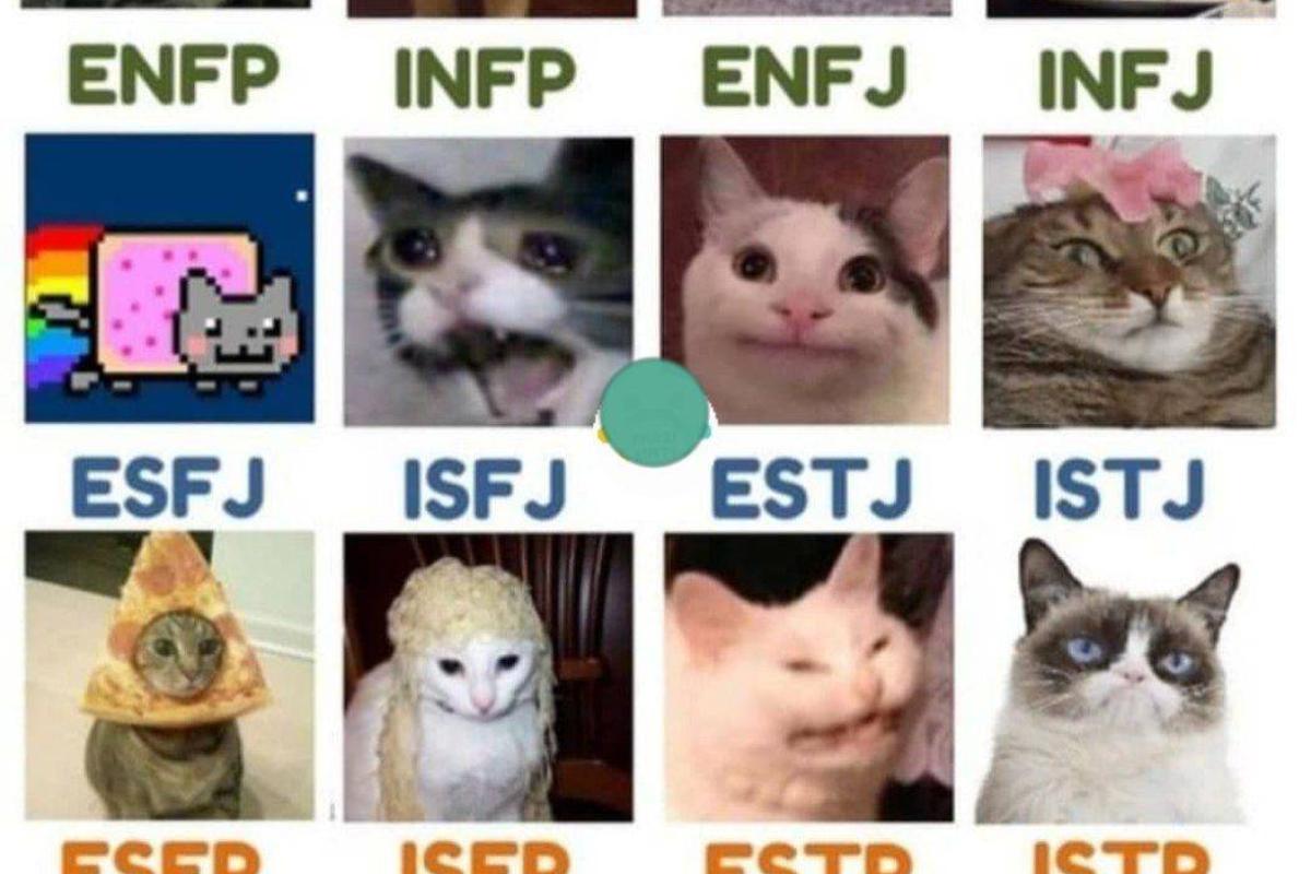 عکس سم mbti