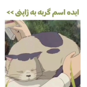 اسم گربه به ژاپنی