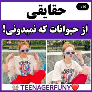 عکس حقایق جالبی از حیوانات