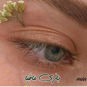 عکس اعضای بازی پدرخوانده