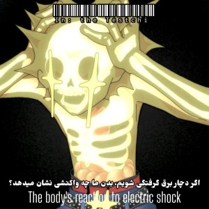 کاور