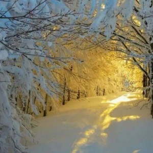 نکات تست زدن