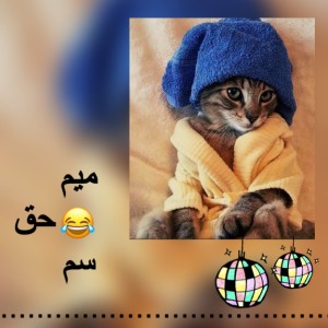 کاور