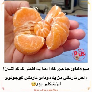 عکس غذاهای جالب ۲