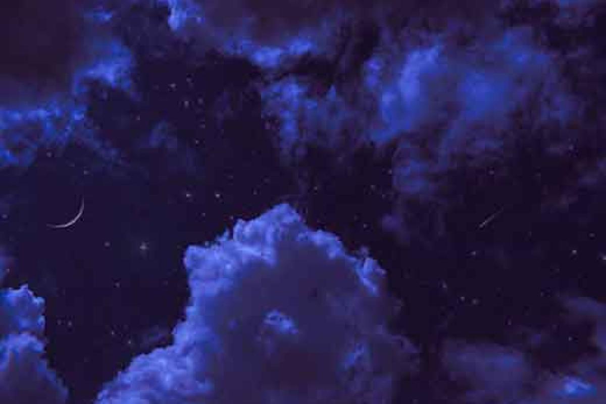 عکس ریلکس ترین تایپا:)