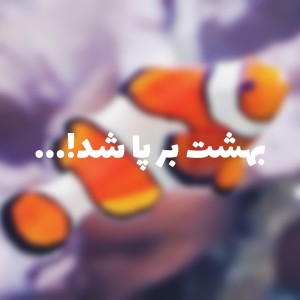 کاور