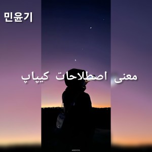 عکس معنی اصطلاحات کیپاپ♡