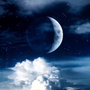 شناختی از تایپ‌ها