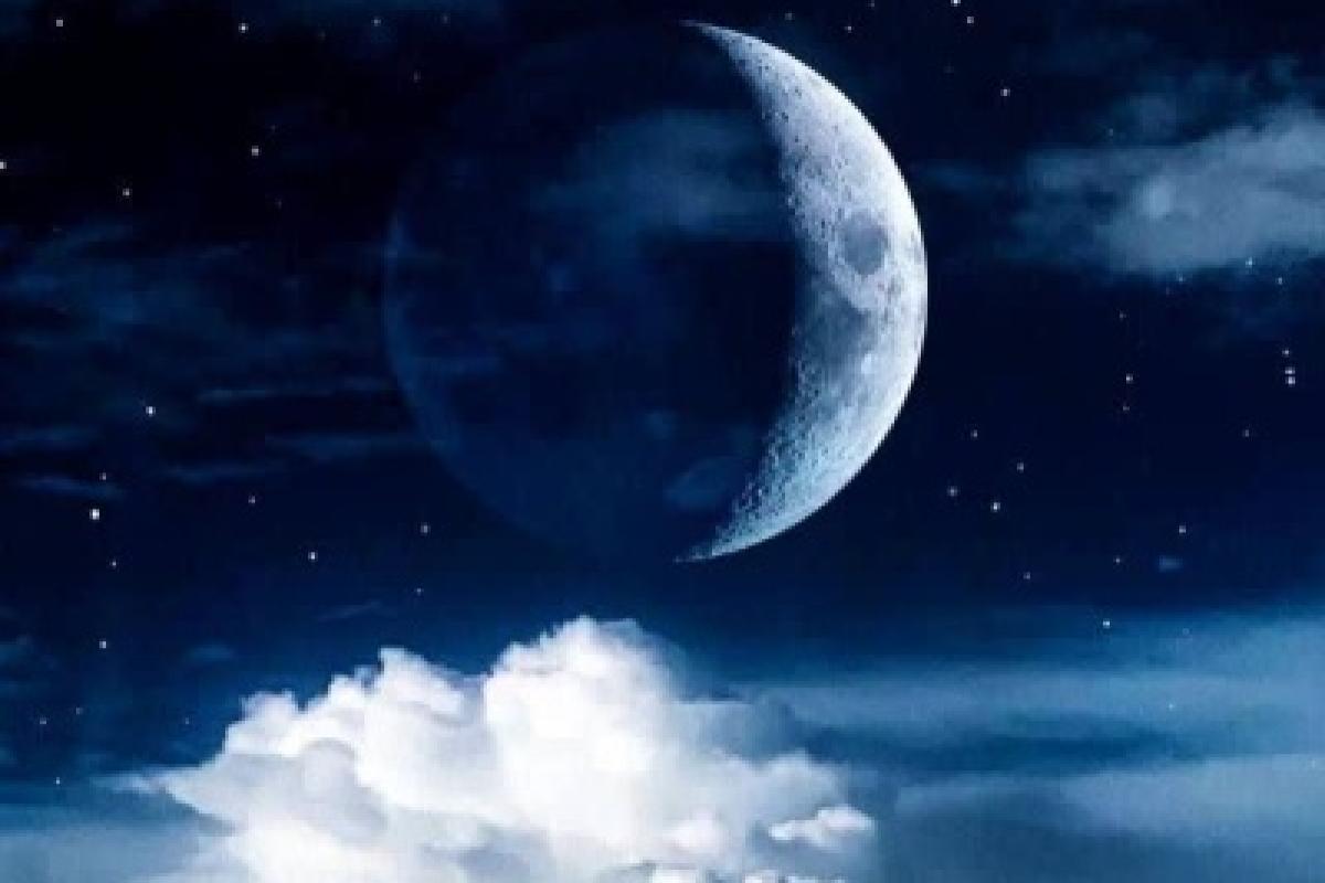 عکس شناختی از تایپ‌ها