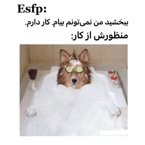 عکس اندکی میم از mbti:)))