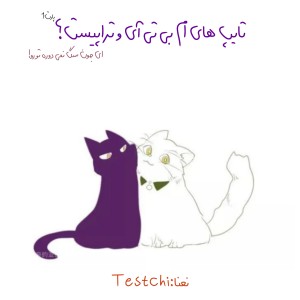 تایپ های ام بی تی آی و تراپیست؟¹