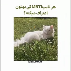 عکس اعتراف تایپ های mbti