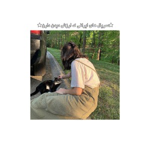 فیلمای ایرانی ک ارزش دیدن دارن!