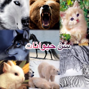 کاور