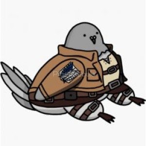 سخن کدام بزرگوار