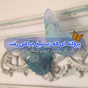 عکس پروانه ای که زیر تیغ جراحی رفت